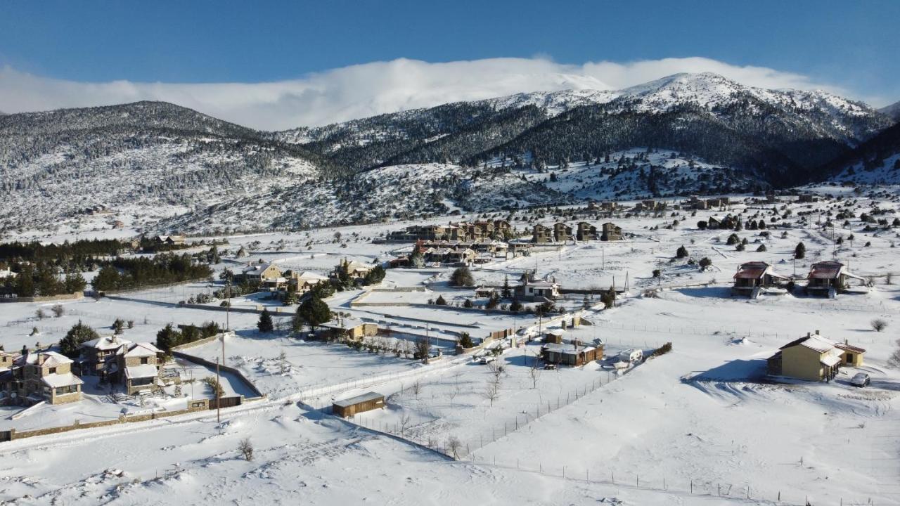 Chalet Renata 1 Livadi Arachovas Kalivia  Экстерьер фото